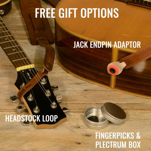 Free gift options June 2019 plectrum.jpg