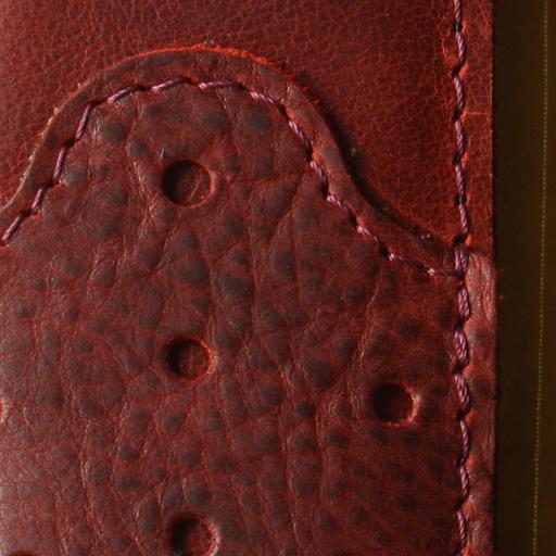GS74 red close up.jpg