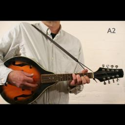 MS37 A2 mandolin brown 2.jpg