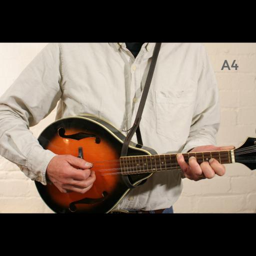 MS37 A4 mandolin brown 2.jpg