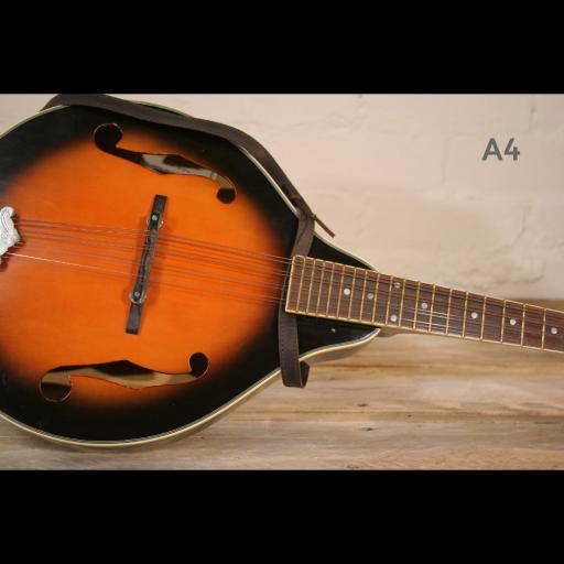 MS37 A4 mandolin brown 1.jpg