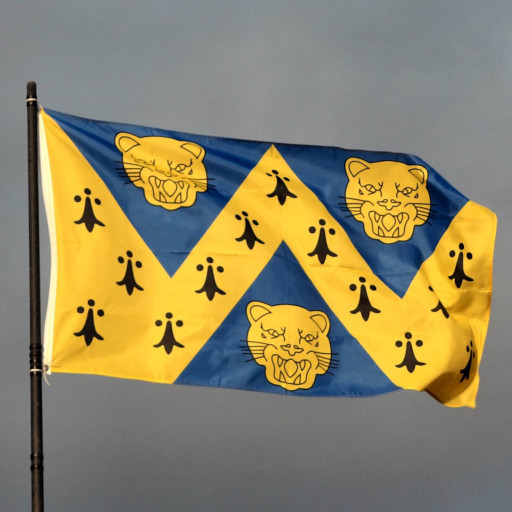 shropshire flag sq.jpg