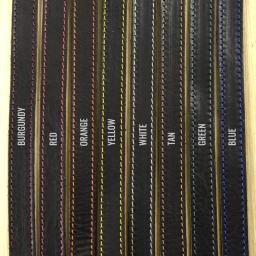 Stitch colours on GS25 straps DSC_0493 anno sml.jpg