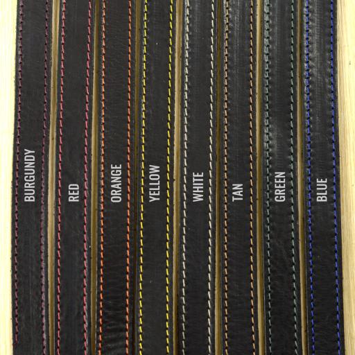 Stitch colours on GS25 straps DSC_0493 anno sml.jpg