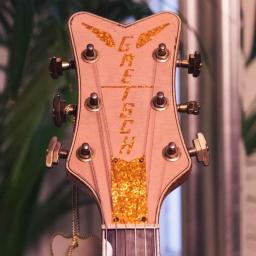 Gretsch-Custom-Shop-Pink-Penguin-Guitar-3.jpg